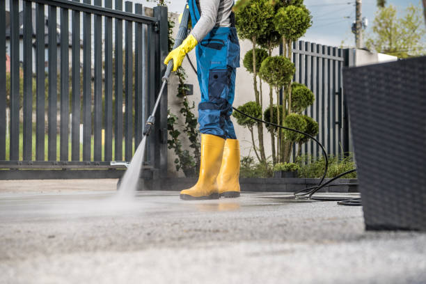 Best Solar Panel Cleaning  in Maugansville, MD
